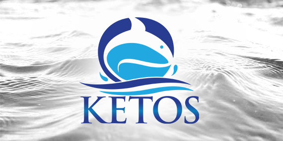 KETOS Thumbnail|IMP Responsive Showcase|IMP Thumbnail|KETOS Responsive showcase