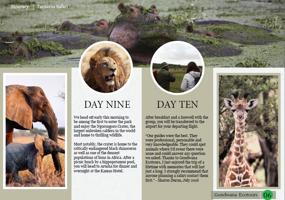 gondwana safari brochure part3
