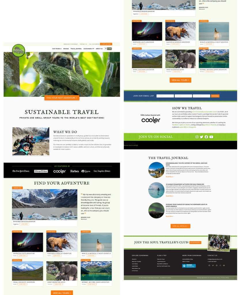 mi gond portfolio web pages