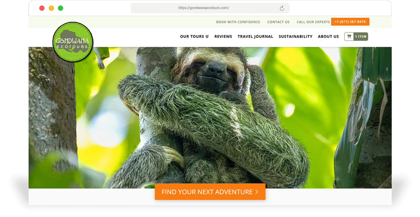 mi gondwana ecotours browser updated