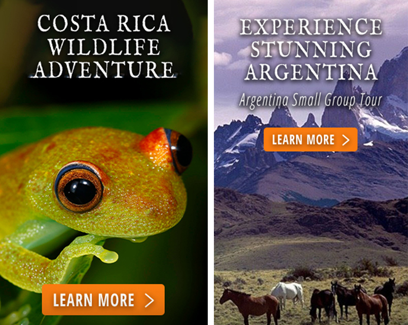 mi gondwana ecotours googld ad designs updated